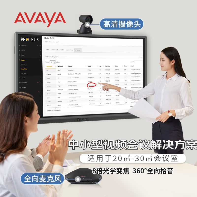 亚美亚（Avaya）中小型视频会议解决方